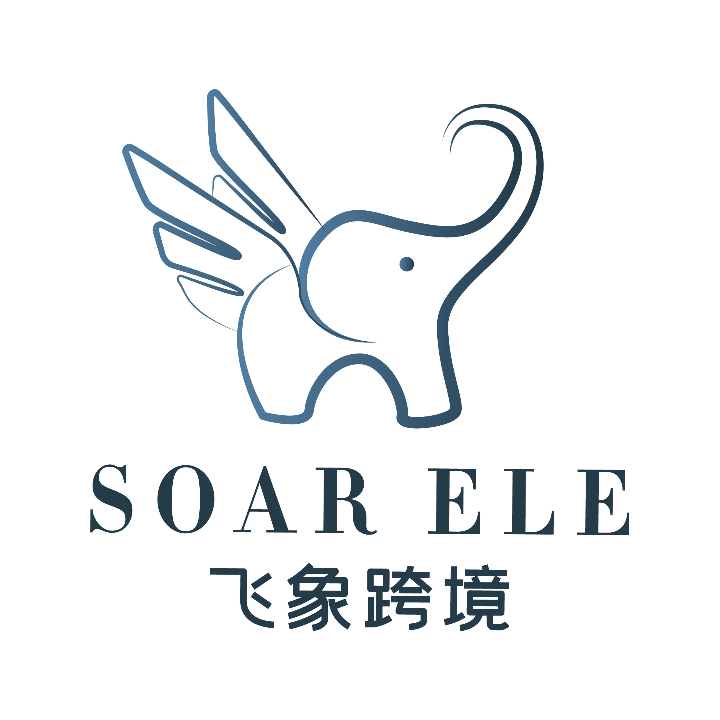 Soar Ele Limited
